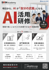 SKN-Academy_web