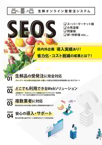 flyer_middleman
